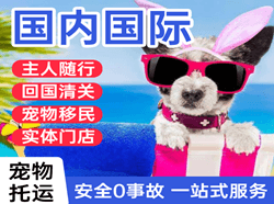 长沙黄花航空托运国际宠物托运 【国